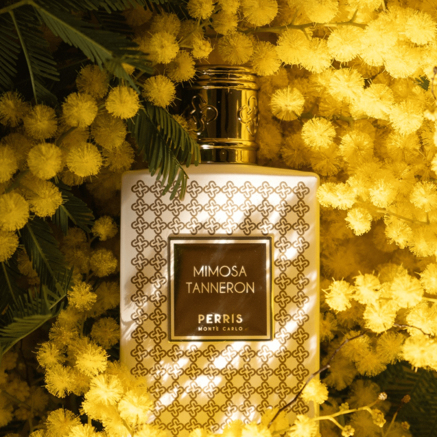 Mimosa Tanneron EdP